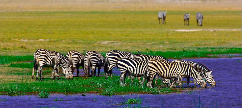 Top 12 Safari Destinations - Amboseli