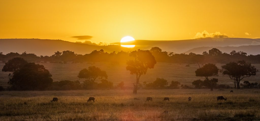 Top 12 Safari Destinations - Maasai Mara