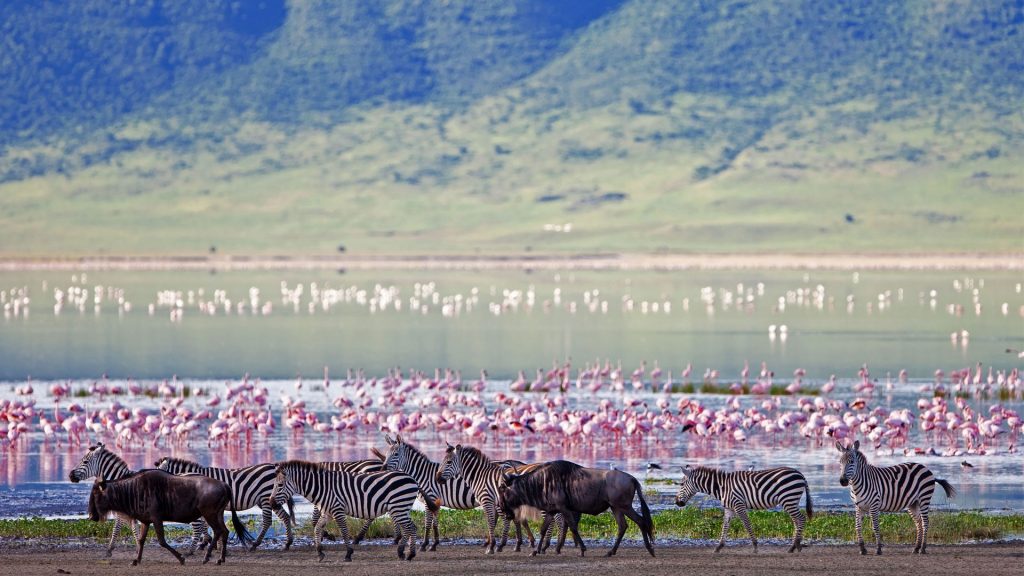 Top 12 Safari Destinations - Ngorongo