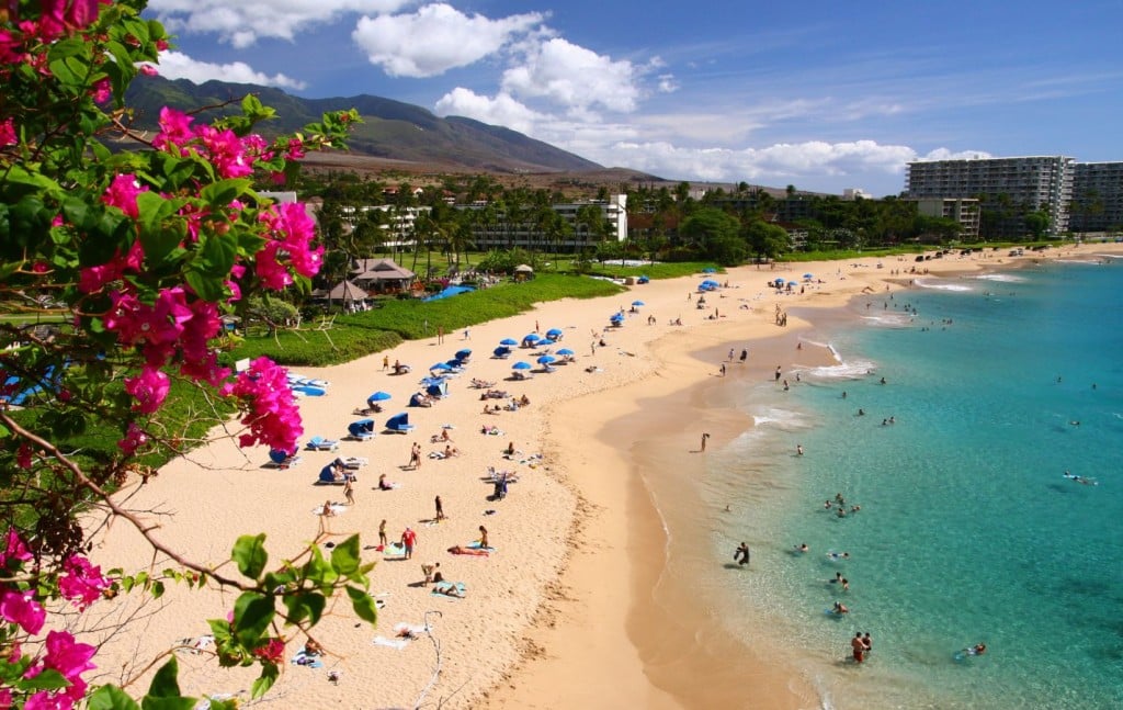 Visit November - Maui