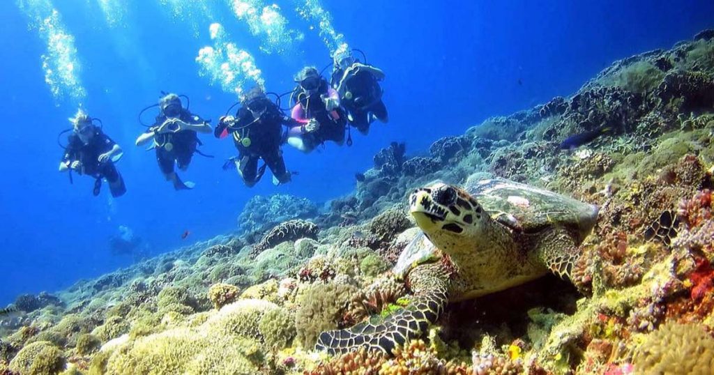 best time to visit Thailand for scuba diving
