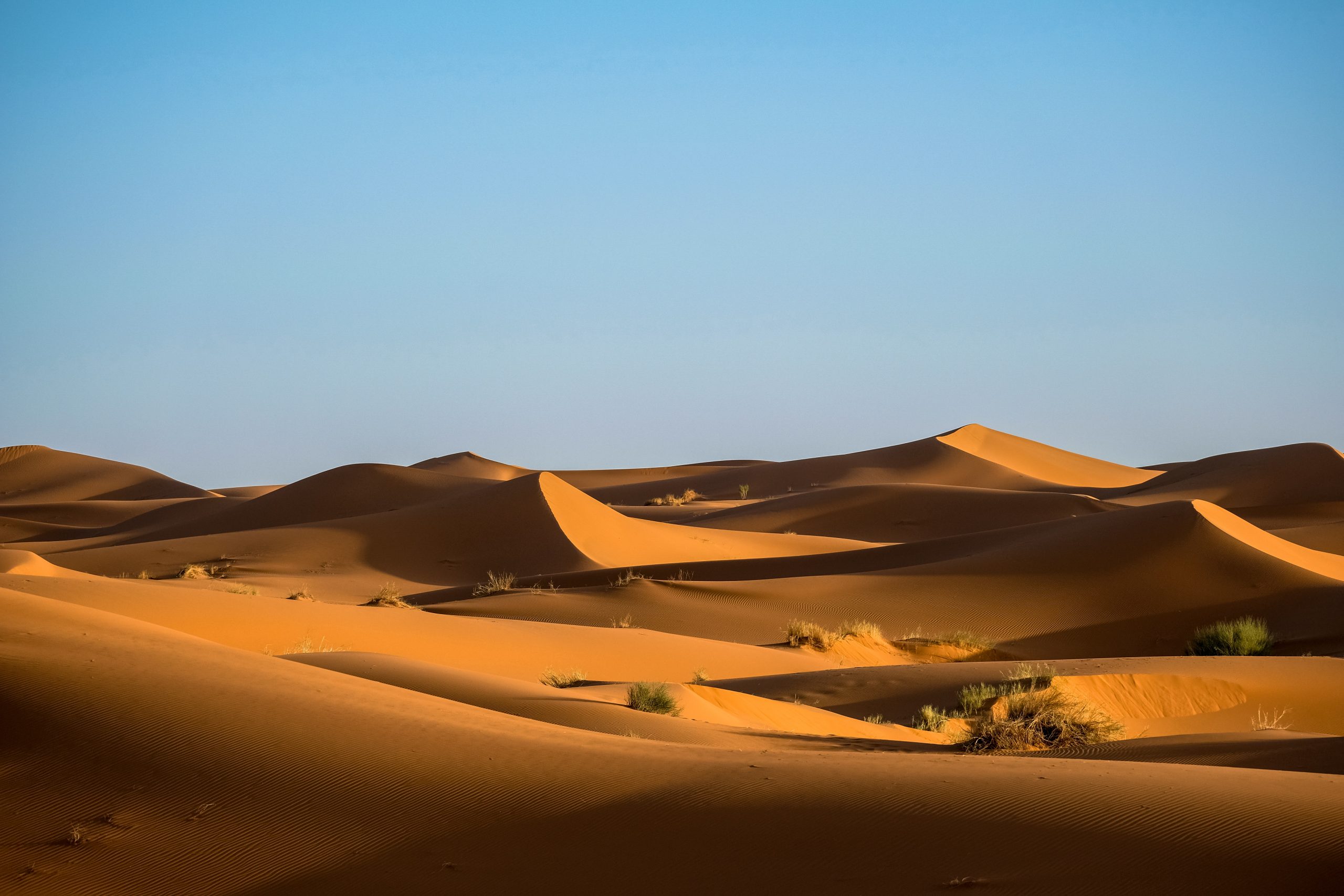 Desert dunes